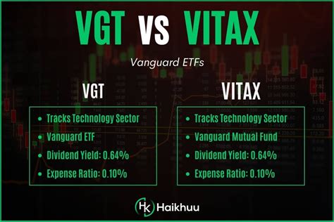 v.vfgte|vfgtb.com .